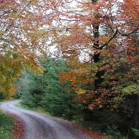 Maison d'hôtes Clancys Of